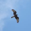 13.jpeg - 2018:09:14 22:35:00