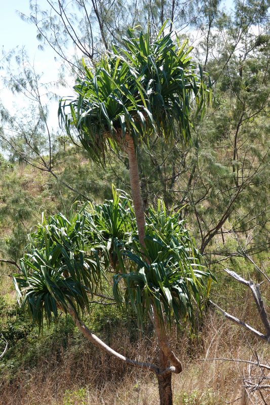 Viewing photos→2018→2018-09-15→24