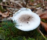 13.jpeg - 2018:10:07 13:32:20