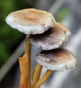 22.jpeg - 2018:10:07 14:10:20