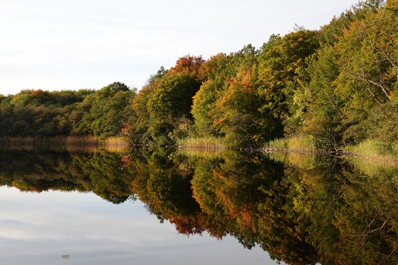 Viewing photos→2018→2018-10-07→40