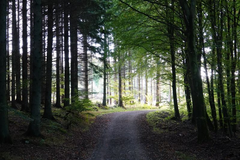 Viewing photos→2018→2018-10-07→44