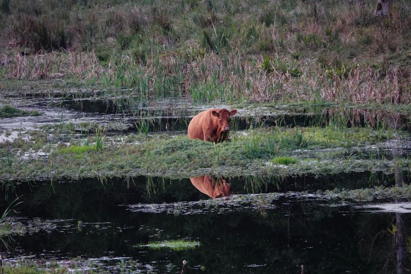 Viewing photos→2018→2018-10-07→45