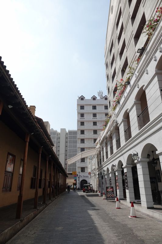 Viewing photos→2019→2019-01-31→005