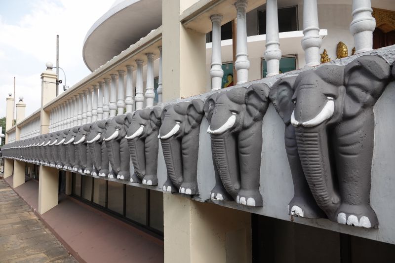 Viewing photos→2019→2019-01-31→011