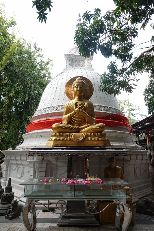 Viewing photos→2019→2019-01-31→031