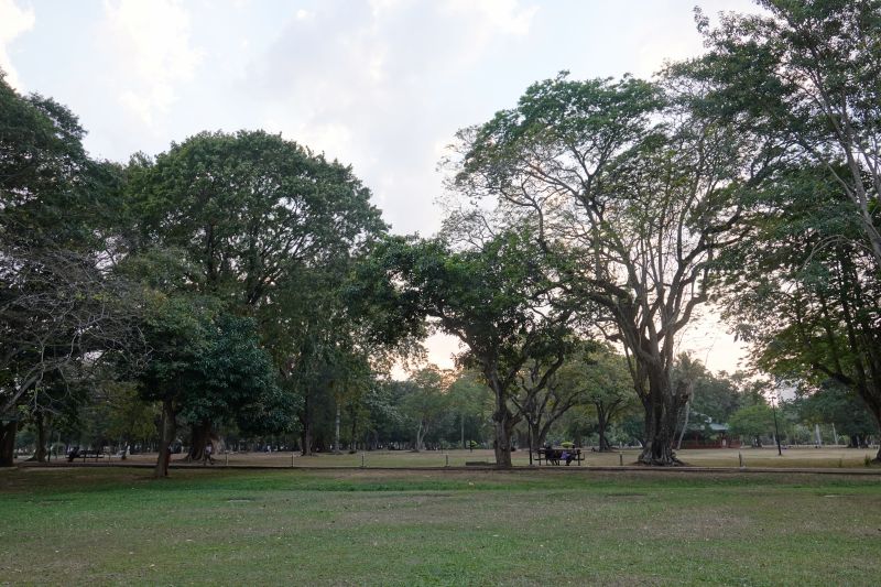 Viewing photos→2019→2019-01-31→035