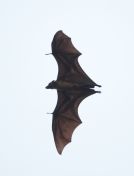 036.jpeg - 2019:01:31 12:25:32