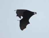 037.jpeg - 2019:01:31 12:25:33