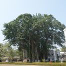 076.jpg - 2019:02:01 07:08:54