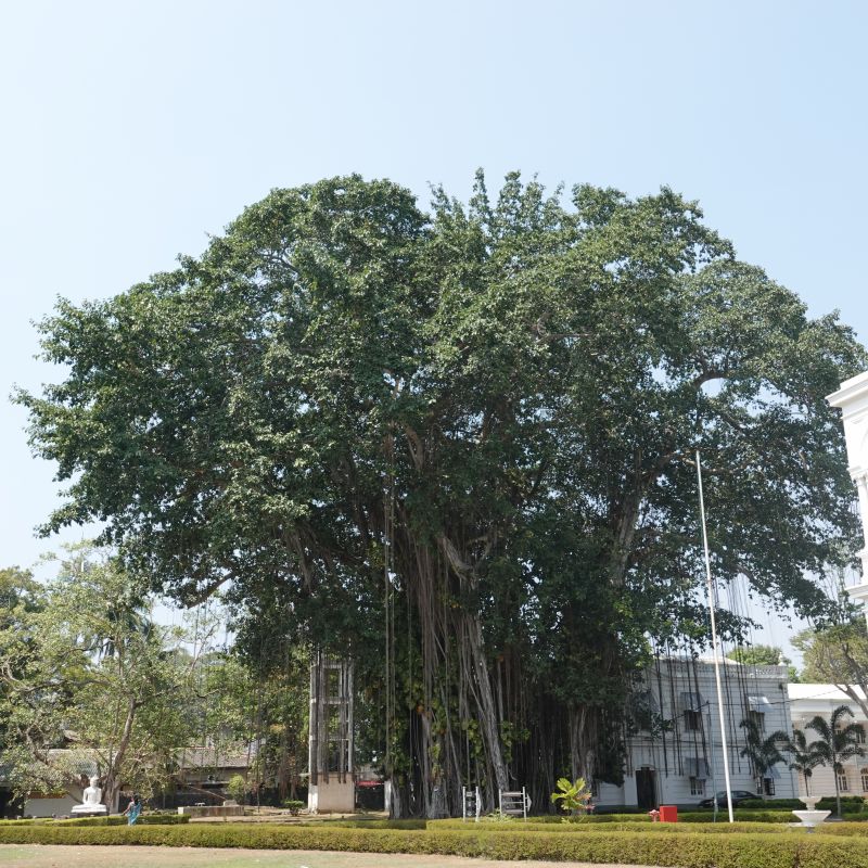 Viewing photos→2019→2019-01-31→076