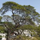 097.jpg - 2019:02:01 09:04:21