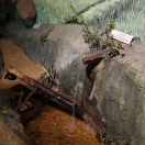 098.jpg - 2019:02:01 09:07:13