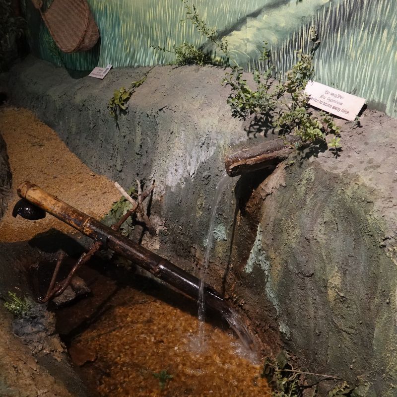 Viewing photos→2019→2019-01-31→098