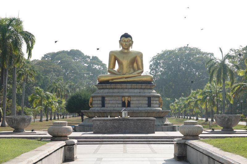 Viewing photos→2019→2019-01-31→119