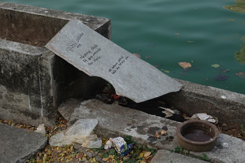 Viewing photos→2019→2019-01-31→125