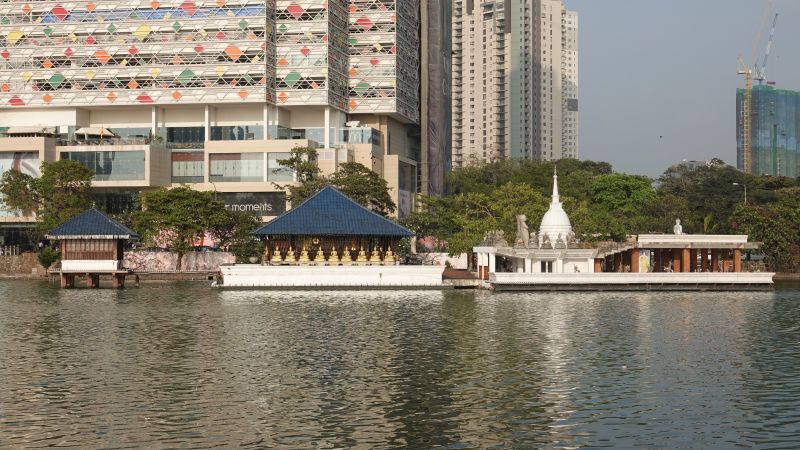 Viewing photos→2019→2019-01-31→126