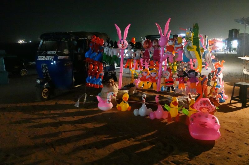 Viewing photos→2019→2019-01-31→136