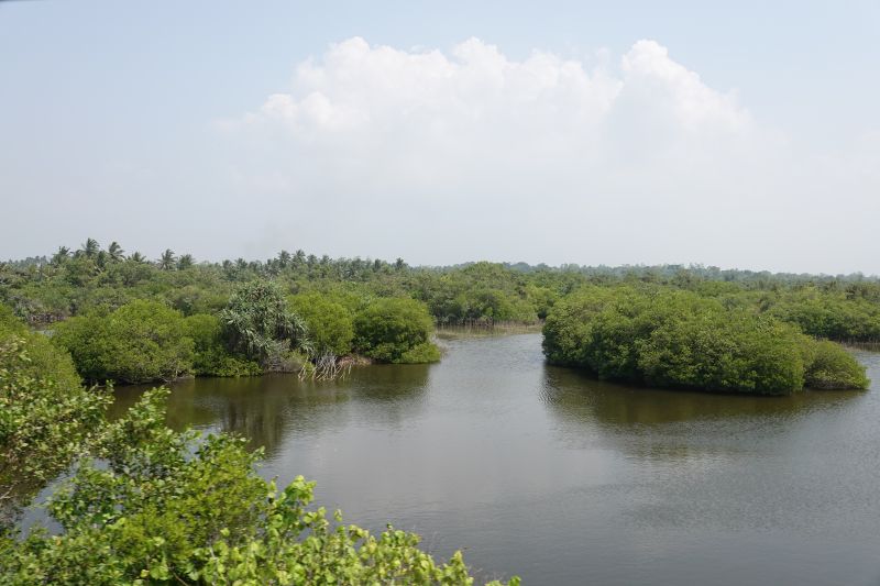 Viewing photos→2019→2019-02-02-1→014