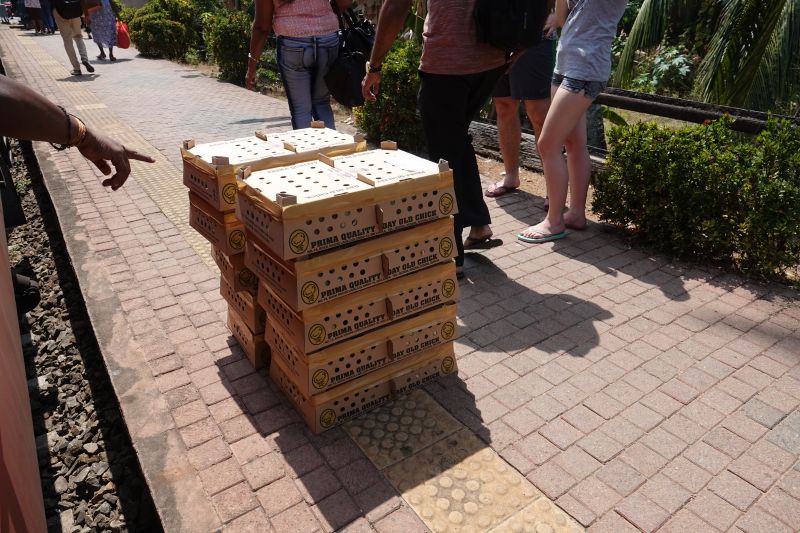 Viewing photos→2019→2019-02-02-1→015