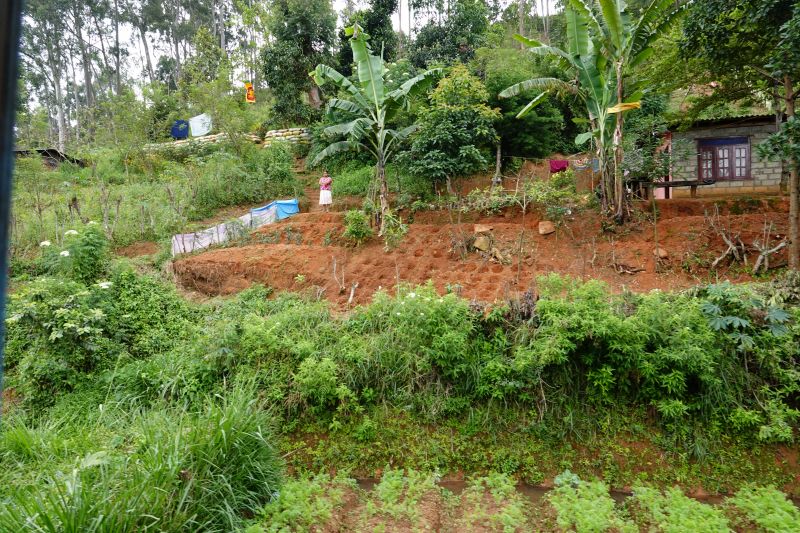 Viewing photos→2019→2019-02-02-1→040