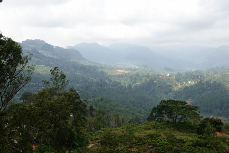 Viewing photos→2019→2019-02-02-1→045