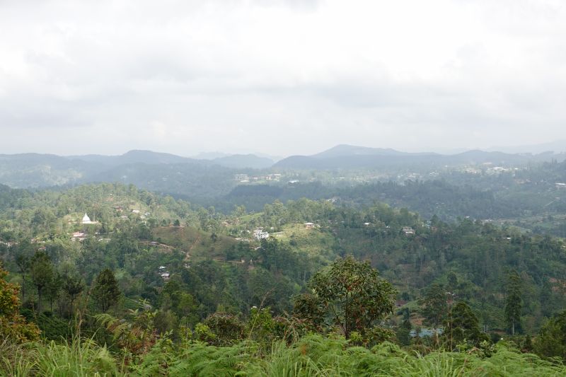 Viewing photos→2019→2019-02-02-1→049