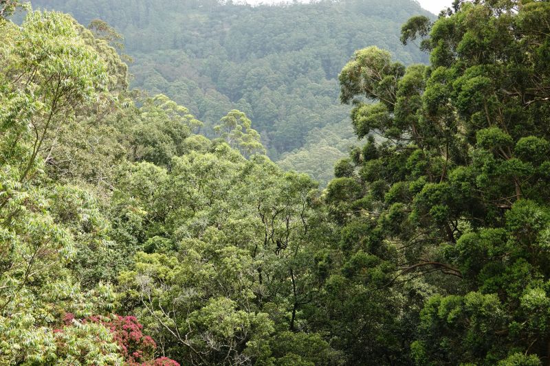 Viewing photos→2019→2019-02-02-1→055