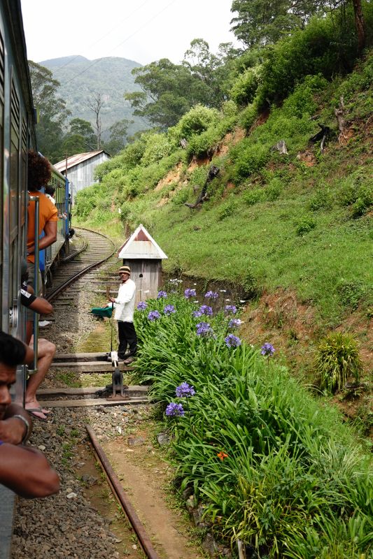 Viewing photos→2019→2019-02-02-1→057