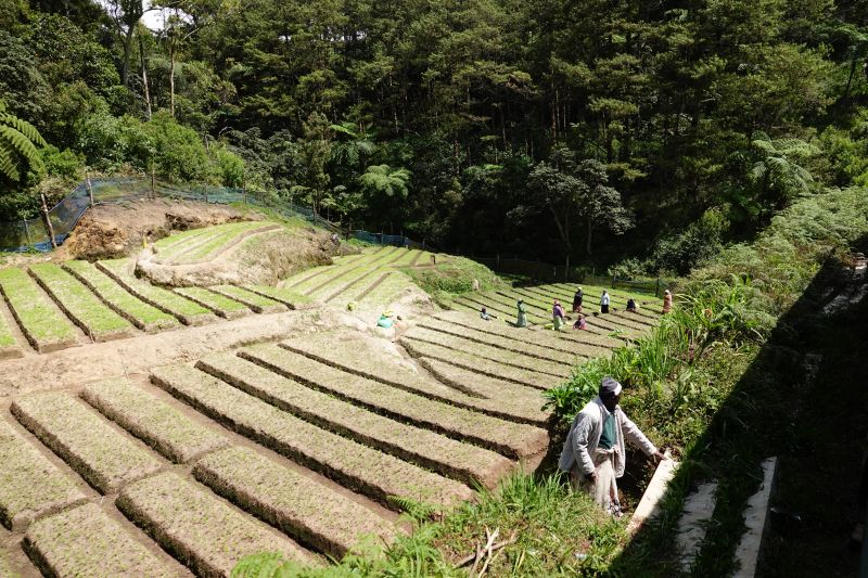 Viewing photos→2019→2019-02-02-1→077