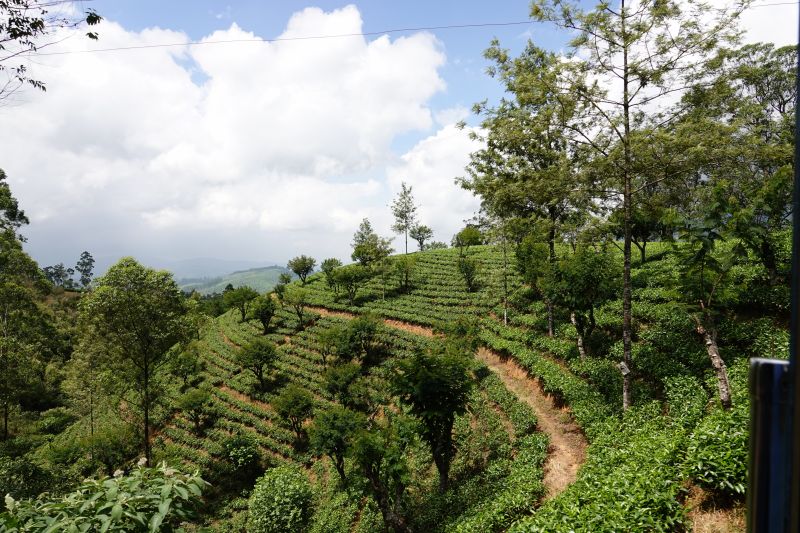 Viewing photos→2019→2019-02-02-1→081