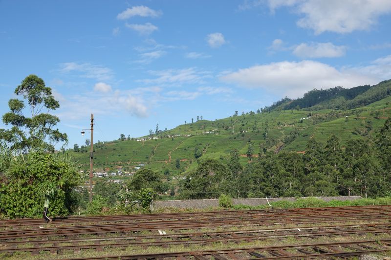 Viewing photos→2019→2019-02-02-1→088