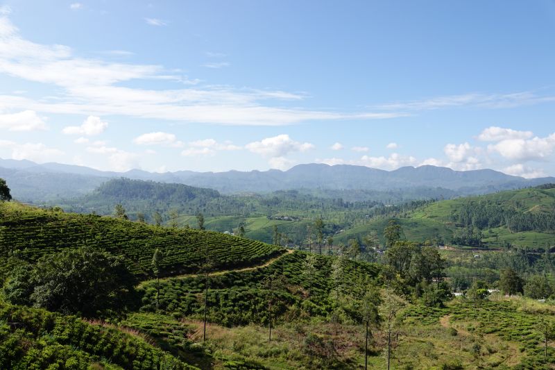 Viewing photos→2019→2019-02-02-1→090