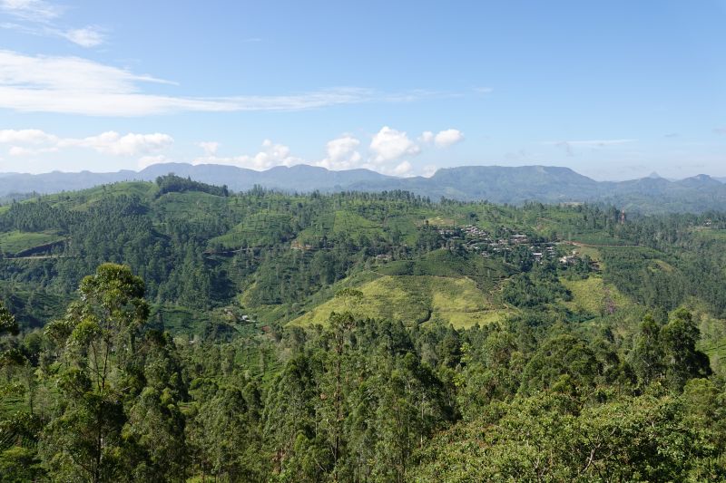 Viewing photos→2019→2019-02-02-1→094