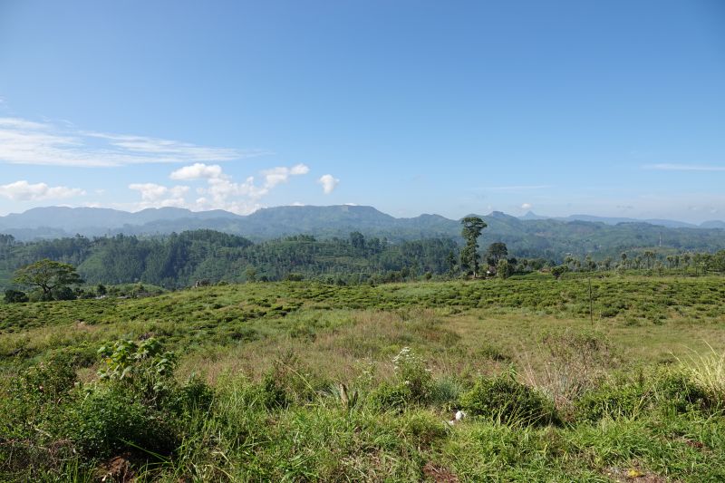 Viewing photos→2019→2019-02-02-1→099