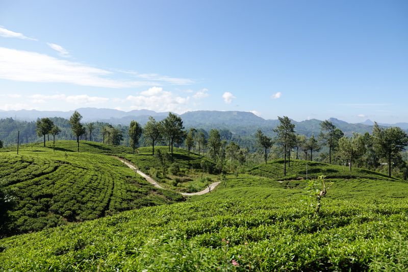 Viewing photos→2019→2019-02-02-1→101