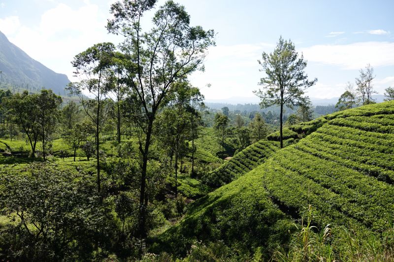 Viewing photos→2019→2019-02-02-1→104