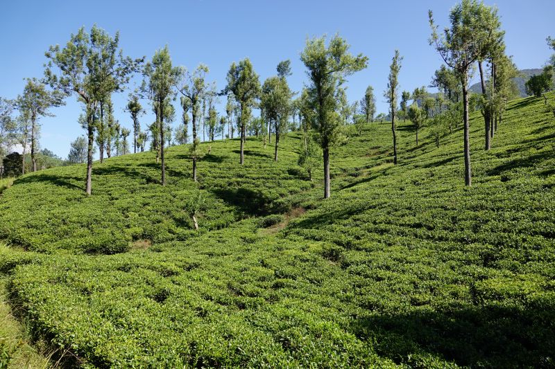 Viewing photos→2019→2019-02-02-1→107