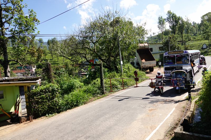 Viewing photos→2019→2019-02-02-1→109