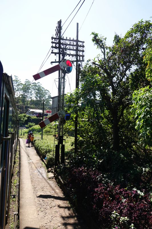 Viewing photos→2019→2019-02-02-1→111