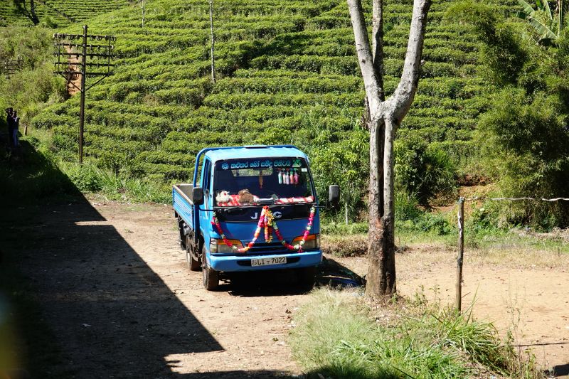 Viewing photos→2019→2019-02-02-1→119