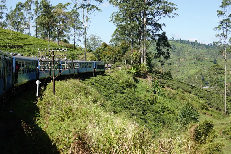 Viewing photos→2019→2019-02-02-1→121