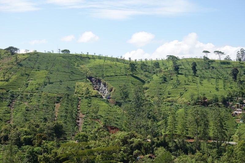 Viewing photos→2019→2019-02-02-1→129