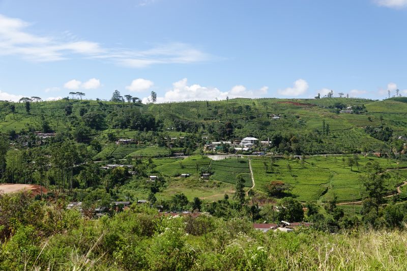 Viewing photos→2019→2019-02-02-1→131