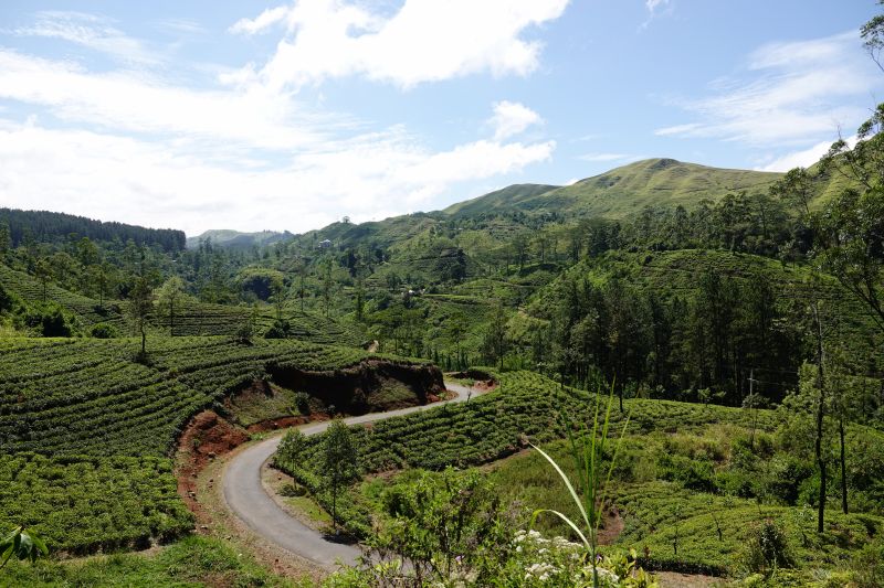 Viewing photos→2019→2019-02-02-1→133