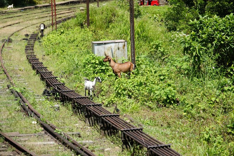 Viewing photos→2019→2019-02-02-1→136