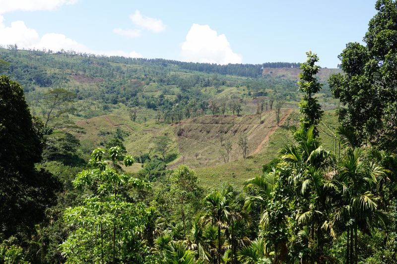 Viewing photos→2019→2019-02-02-1→137