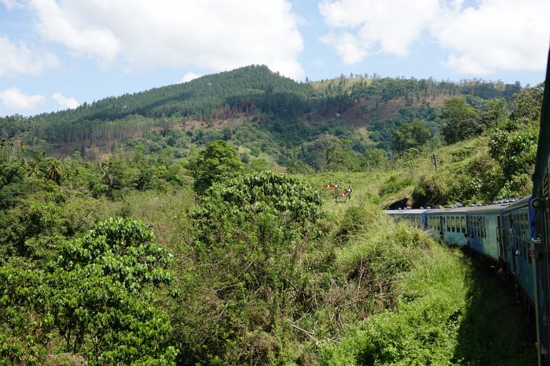 Viewing photos→2019→2019-02-02-1→139