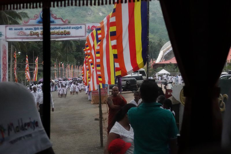 Viewing photos→2019→2019-02-02-1→169