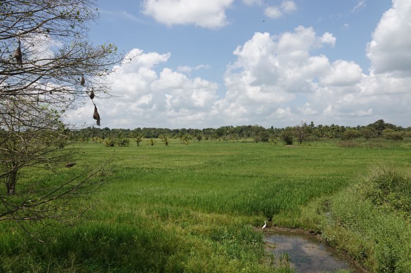 Viewing photos→2019→2019-02-02-1→177